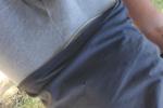 Bulge