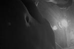jhoswho live Chaturbate webcam gallery thumbnail