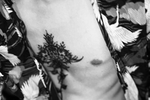 dominik โ Teaser