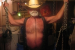 Cajun Daddy