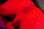 VYVNDRU X RATED...