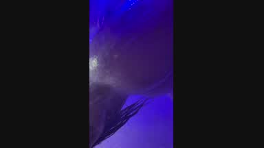 I love hot showers