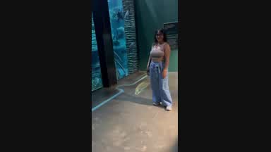 un dia en el acuario