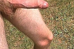 hard in the yard