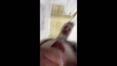 corrida encima telefono