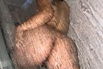 Wouldn't you like to eat my pussy?