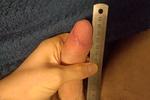 Cock size