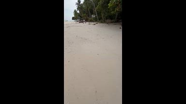at the beach