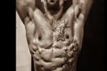 Face and Muscles