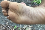 Walking in the dirt