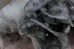 shower confessions live Chaturbate webcam gallery thumbnail