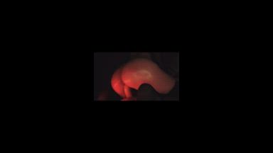 Reverse ride and pussyfuck with big dildo
