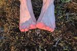 feet in the forest