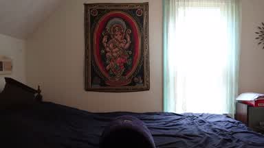My dildo holder pillow.