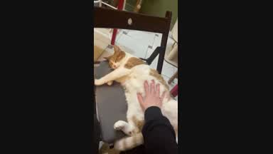 =)