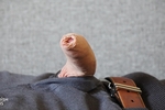Clothed with cock out