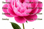 schedule