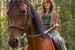 🐴