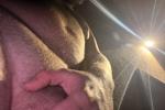 easymoneysniper5 live Chaturbate webcam gallery thumbnail