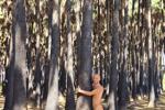 naked in a palm forest