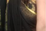 saree pic
