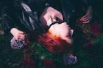 🌹