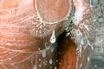 Does my soapy ass look good?