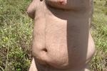 Random Cock & Body Album