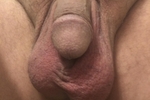 Shifu cock