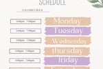 broadcast schedule