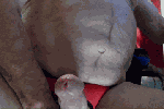 Some more recent GIFS