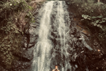 Trips