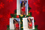 the christmas photo session