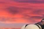 sunsets and titties
