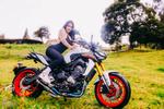 MOTORS