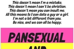 I am a Pansexual Guy !