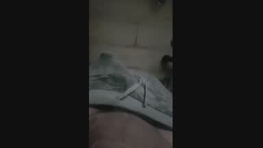 morning  log