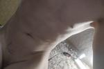 tytanowy89 live streaming profile