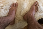 jordan el din — Manly hairy feet