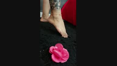 My tattos