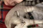 olya and yulia โ me and Matilda sleep
