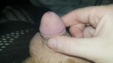 small dick cuckold live Chaturbate webcam gallery thumbnail