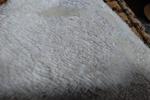 m shot