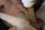 Big and hard dick