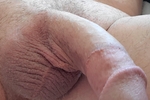 casual cock