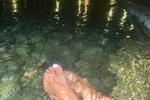 FEET