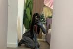 My cool photos :)