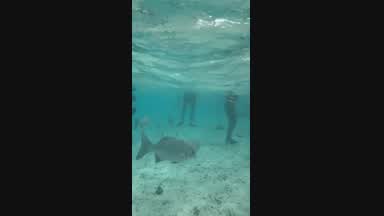 San Andres island 🏝️