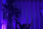 Roxanne 😈🥰
