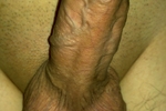 Assorted Foto Xxx 65 pic